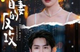 《盲妻的反攻（88集全）》短剧免费全集夸克资源在线观看