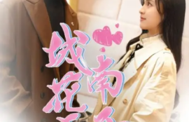 《城南花正开（92集全）》短剧免费全集夸克资源在线观看