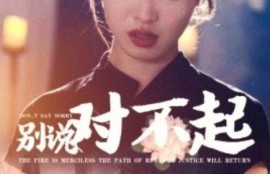 《别说对不起（35集全）》短剧免费全集夸克资源在线观看