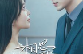 《相思不似相逢(97集全）》短剧免费全集夸克资源在线观看