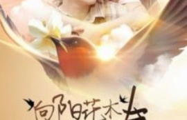 《向阳花木易为春（101集全）》短剧免费全集夸克资源在线观看