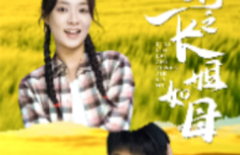 《弟弟归来之长姐如母（61集全）》短剧免费全集夸克资源在线观看