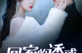 《回家的诱惑之前妻归来》1-87集完整版高清免费观看