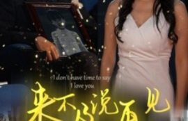 《来不及说再见（30集全）刘博洋&--张嘉妤》