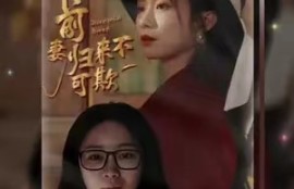 《前妻归来不可欺》95全集免费资源观看