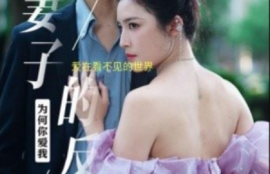 《妻子的反击（38集全）》短剧免费全集夸克资源在线观看