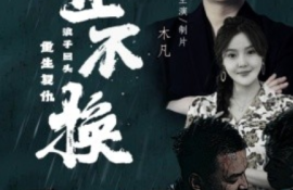 《金不换（32集全）》短剧免费全集夸克资源在线观看