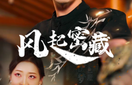 《风起密藏（81集全）》短剧免费全集夸克资源在线观看
