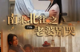 《南来北往之老婆别哭》（1-87集）短剧免费全集夸克资源在线观看