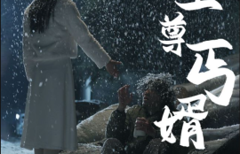 《至尊丐婿》91全集资源短剧免费全集夸克资源在线观看